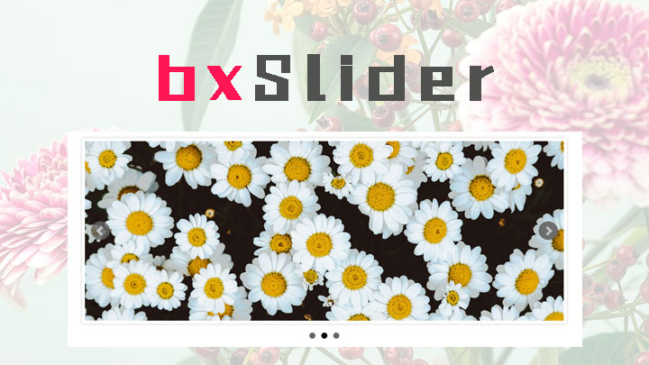 bxslider - 一款功能齐全、支持响应式的 jQuery内容滑块